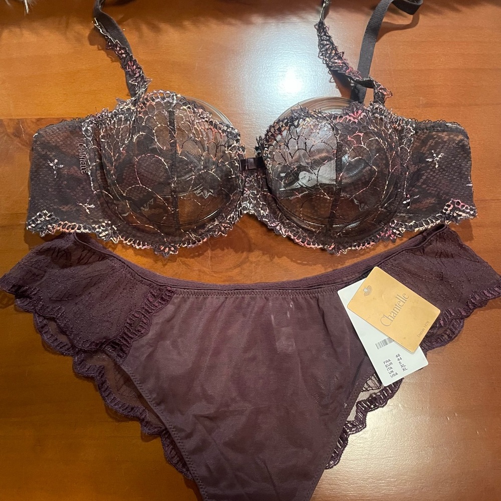 Chantelle ICONE unlined embroidered Demi bra & XL Chantelle lace detail panty.